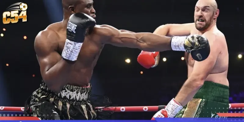 Kinh nghiệm phân tích kỹ thuật khi cá cược quyền anh WBC tại nhà cái C54